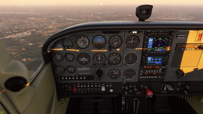 Standard Cessna 172 - Aircraft - Microsoft Flight Simulator Forums How to reduce cholesterol in 30 days