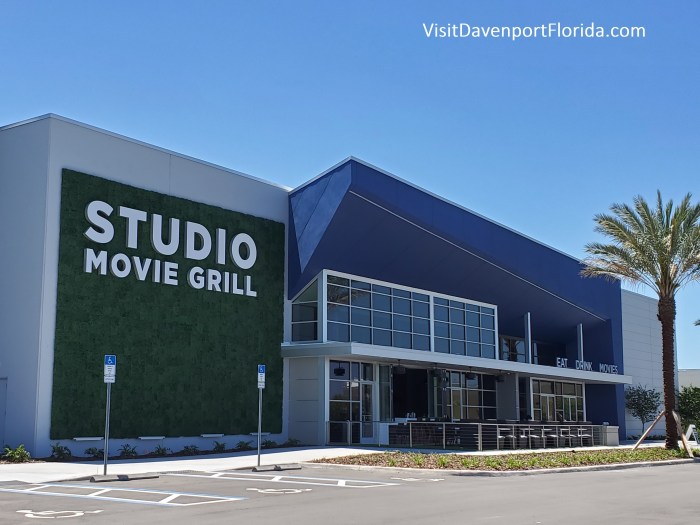 Studio Movie Grill Sunset Walk How to draw a snowflake